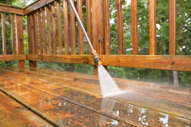 Best Animal Enclosure Cleaning  in Hunter, OH